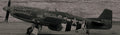 Holzdruck P51 Mustang