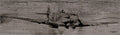Holzdruck Spitfire