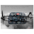 Poster Art P-51 Mustangin Original Größe 1:1
